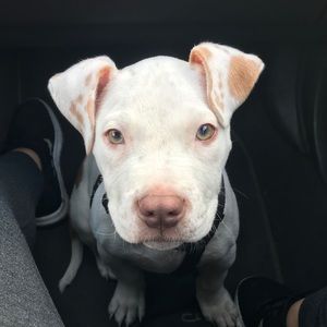 Meet your Posher, Eric